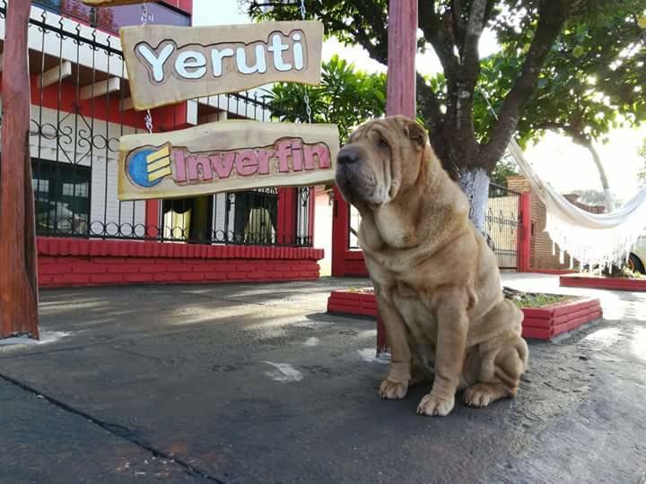 Posada Turistica Yeruti Encarnación Buitenkant foto